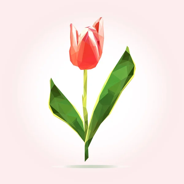 Tulipa de flor poli baixa. Cartão de dia das mães. Design de vetor logotipo — Vetor de Stock