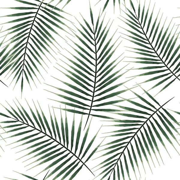 Modèle sans couture de palmiers exotiques. Feuilles vertes sur fond blanc. Feuilles tropicales . — Image vectorielle