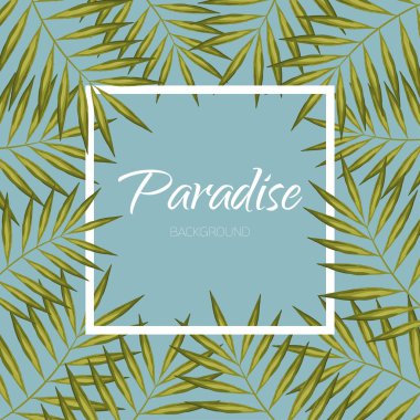 Palmiye ağacı afiş. Egzotik aloha çerçeve arka plan. Cennet vektör yaprak.