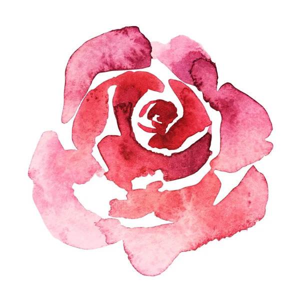 Ροζ τριαντάφυλλο Υδατογραφία ζωγραφισμένη στο χέρι, απομονωμένες σε λευκό, ημέρα του Αγίου Βαλεντίνου — Φωτογραφία Αρχείου