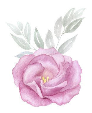 Vintage Pembe çiçek suluboya el yapımı illüstrasyon. Gül çiçeği. tebrik, davet, düğün, doğum günü kartı. Botanik çiçek tasarım. Yeşil yaprakları. Tasarım öğeleri veya logosu
