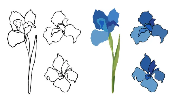 Hand Rita linje vektor blommor uppsättning. Iris kort. Logotyp blommönster. — Stock vektor
