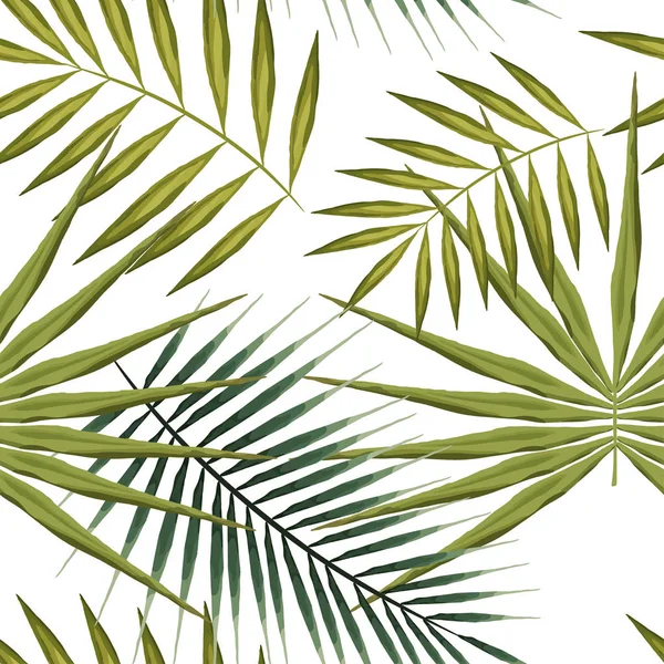 Seamless pattern of Green tropical leaves on white background. Summer wallpaper exotic palm trees. — Stock Vector