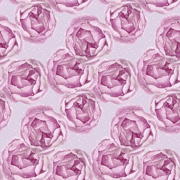 Różowy wzór tła piwonii. Akwarela ręcznie robiony kwiatowy Botanical ilustracja. Na wesele, zaproszenie, walentynki. — Zdjęcie stockowe
