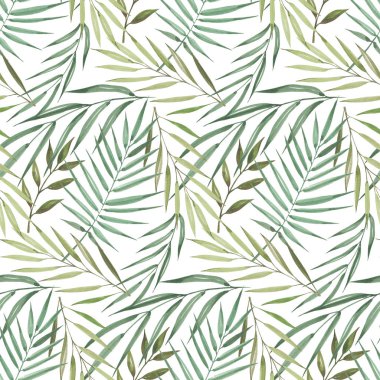 Kusursuz egzotik tropik palmiye deseni. Beyaz arkaplanda suluboya yeşil yapraklar.