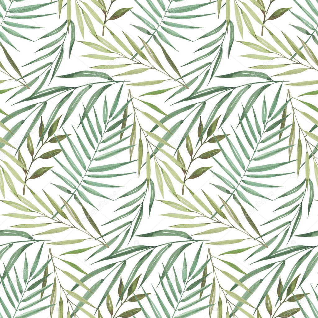 Seamless pattern of exotic tropical palm. Watercolor Green leaves on white background.
