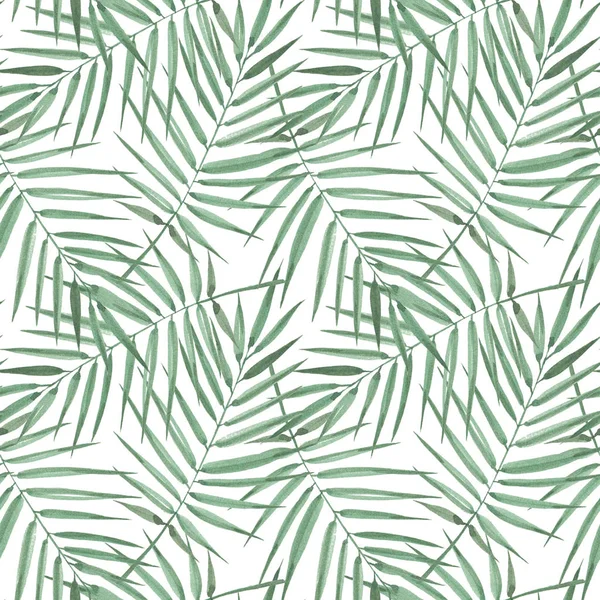 Modello senza soluzione di continuità di palme esotiche. Acquerello Foglie verdi su sfondo bianco. Foglia tropicale . — Foto Stock