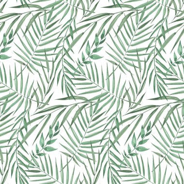 Ekzotik tropik palmiye ağaçlarının kusursuz deseni. Beyaz arkaplanda suluboya yeşil yapraklar.