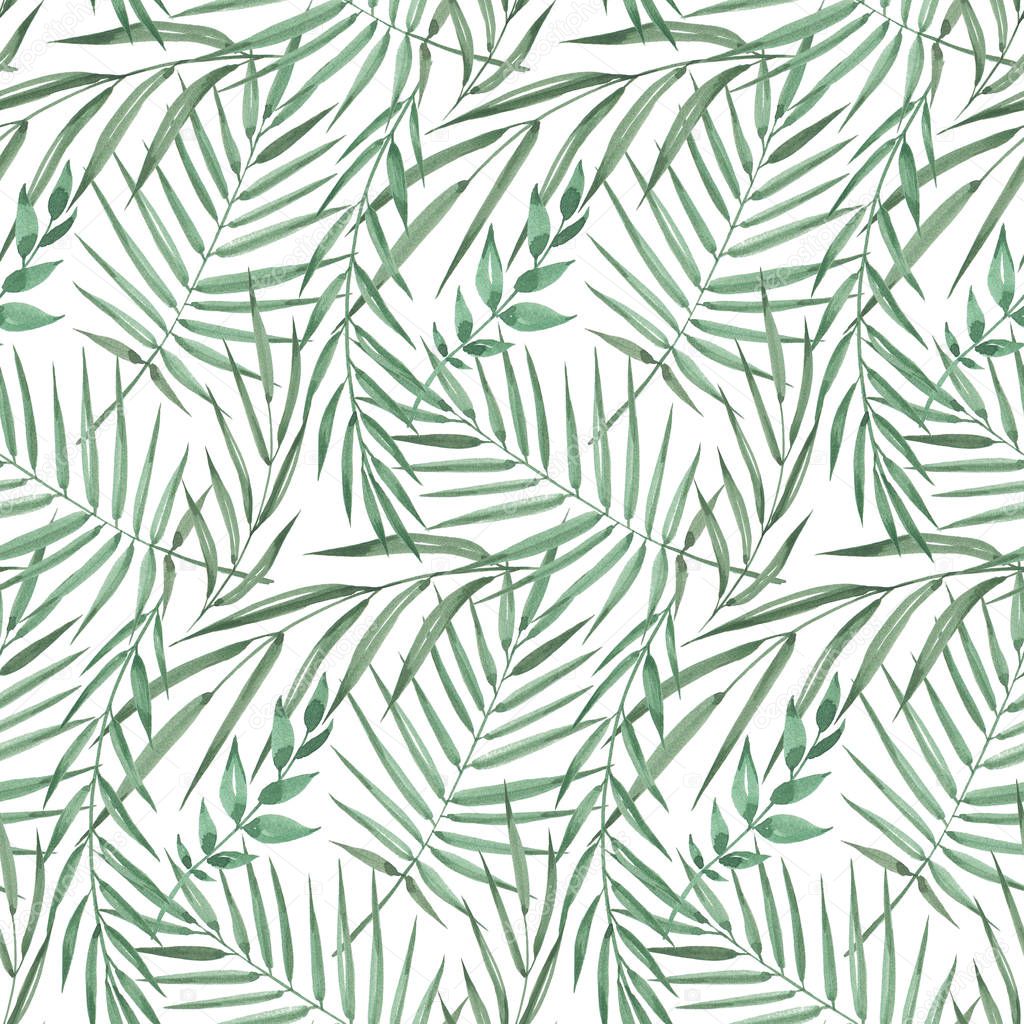 Seamless pattern of exotic tropical palm trees. Watercolor Green leaves on white background.