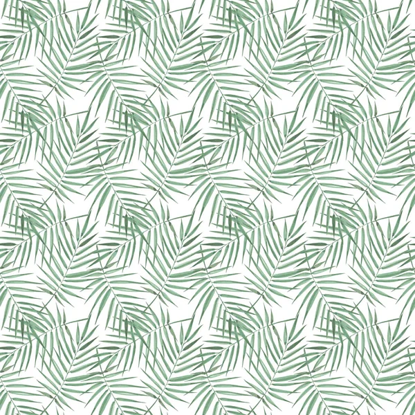 Seamless pattern of exotic palm trees. Watercolor Green leaves on white background. Tropical leaf. — Stock Photo, Image