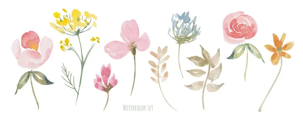 Wildflowers watercolor set. Greeting, invitation, wedding, birthday card. Botanical illustration. Green leaves. Design elements — Stok fotoğraf