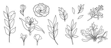 El çizgisi vektör çiçekleri ayarlandı. Şakayık, gül, alstromerya. Logo tasarımı.