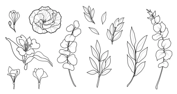 Set di fiori vettoriali disegnati a mano. Peonia, rosa, alstromeria, foglie di eucalipto. Design del logo . — Vettoriale Stock