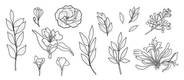 Set di fiori vettoriali disegnati a mano. Peonia, rosa, alstromeria. Design del logo . — Vettoriale Stock