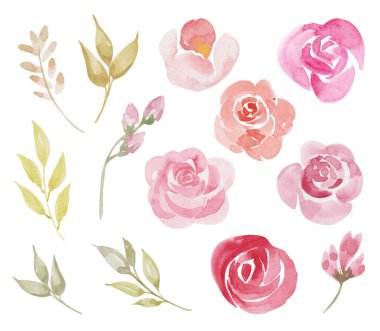 Serbest el, suluboya pembe çiçekler ve yapraklar çiziyor. Düğün kartı için. Çiçek tasarımı. beyaz üzerine izole