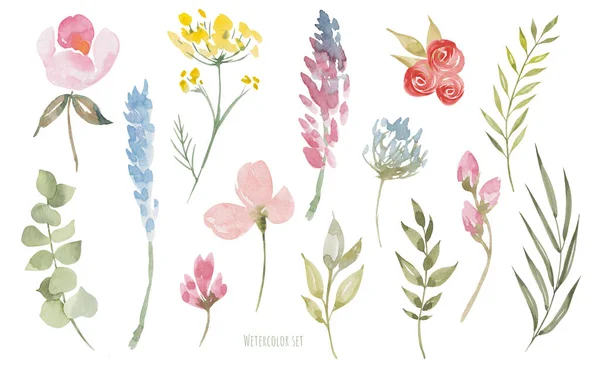 Aquarellblumen und Blätter gesetzt. Handgemachte botanische Illustration — Stockfoto