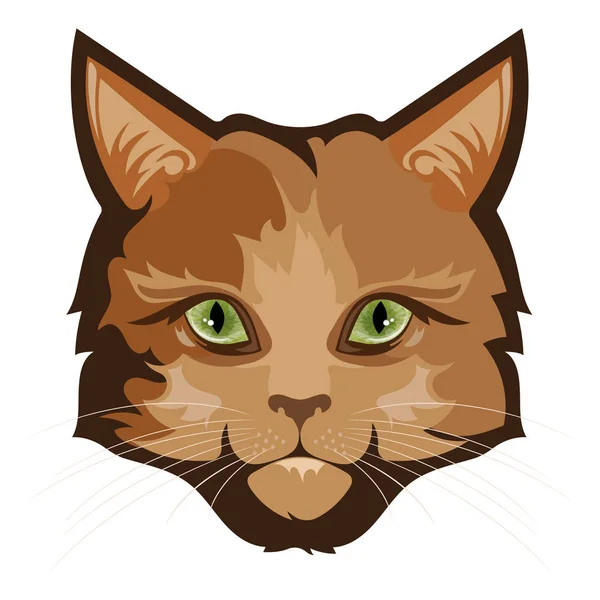 Pluizig gember kat — Stockvector