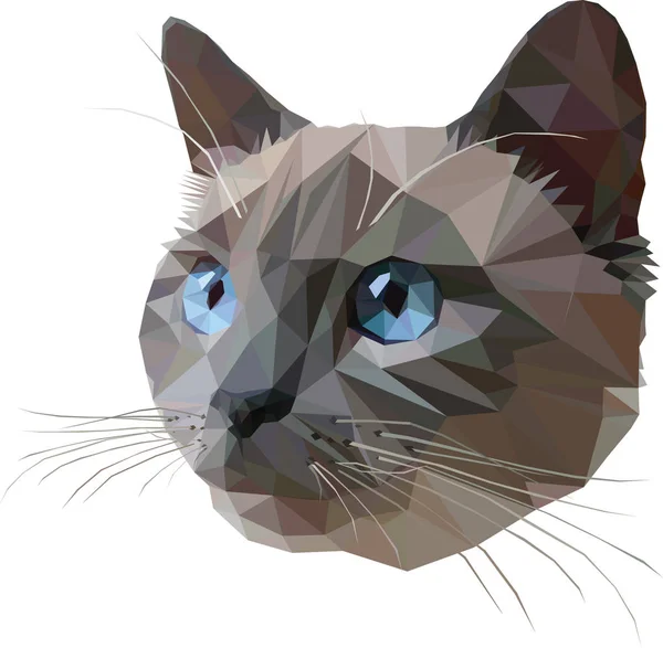 Thaï chat bleu motifs pointus, style triangle — Image vectorielle