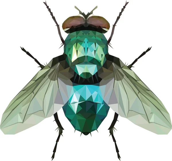 Triángulo de mosca verde — Vector de stock