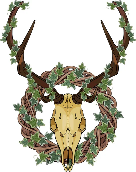 Deer skull and Rattan wreath entwined with ivy — Stock Vector