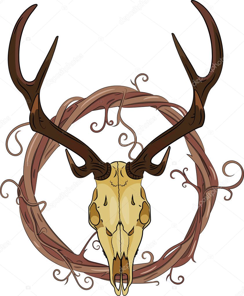 Deer skull and Vine wreath