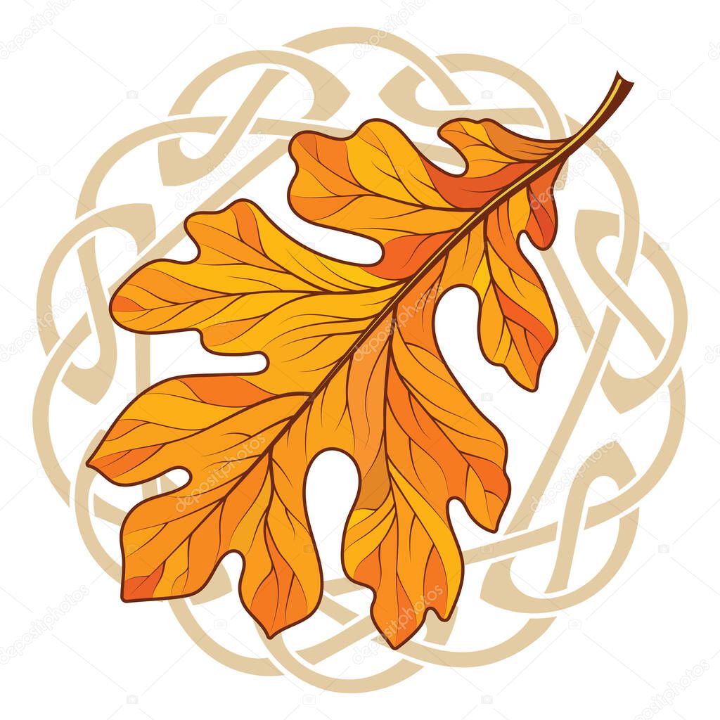 Oak leaf in autumn coloring and Celtic magic ornament, isolated on black, vector illustration