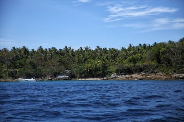 tropikal mavi deniz ve ada taş