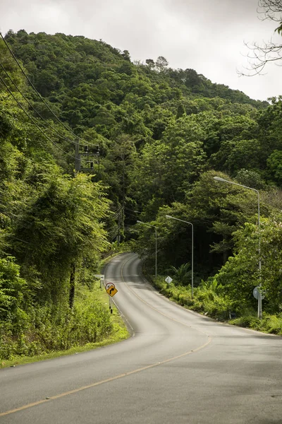 Strada asfaltata sta serpeggiando tra le montagne della foresta — Foto Stock