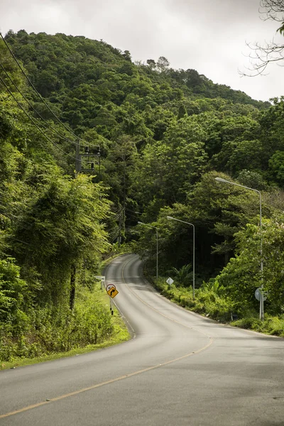 Asphalt road is meandering between forest mountains — Stock Photo, Image