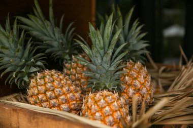 Tahta kutu ananas