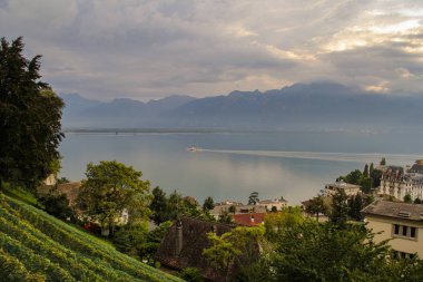 Güneşli bir yaz gününde Montreux şehrinden Cenevre Gölü 'nün güzel manzarası, Vaud Kantonu, İsviçre