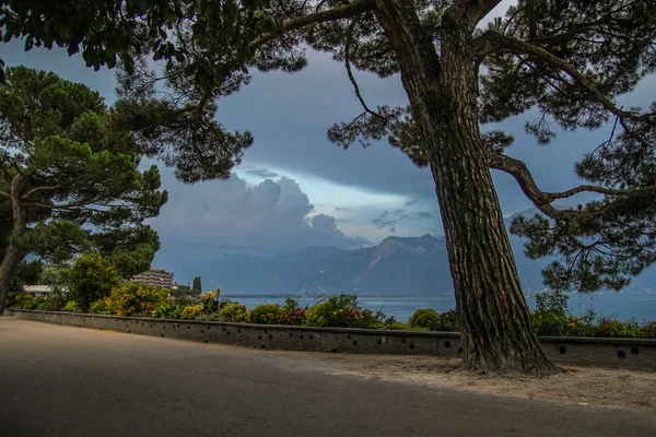 Piękny widok na Jezioro Genewskie z Montreux miasta w słoneczny letni dzień, Canton of Vaud, Szwajcaria — Zdjęcie stockowe