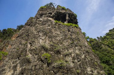 seyahat tatil - tatil tropikal ada - arka plan phi phi Island, krabi il, Tayland.