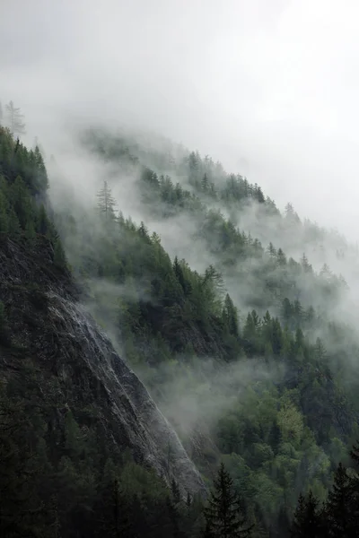 Nuvens nebulosas subindo da floresta montanhosa alpina escura — Fotografia de Stock