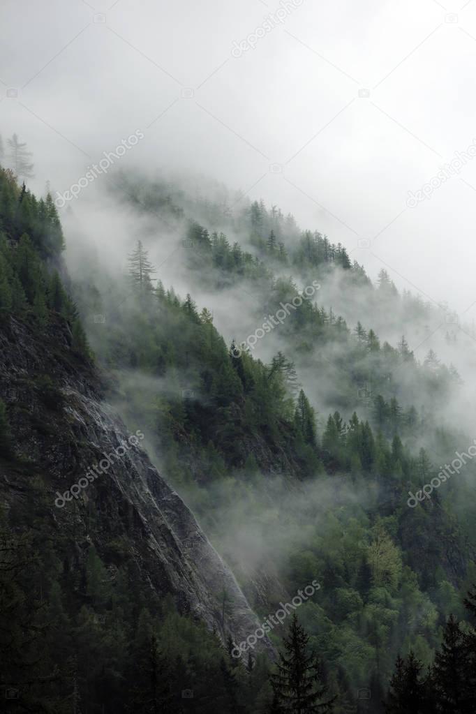 foggy clouds rising from dark alpine mountain forest