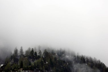 sisli bulutlar karanlık Alp dağ ormandan yükselen