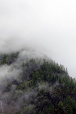 sisli bulutlar karanlık Alp dağ ormandan yükselen