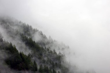 sisli bulutlar karanlık Alp dağ ormandan yükselen