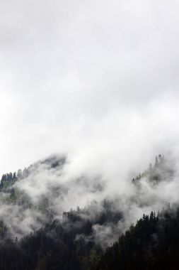 sisli bulutlar karanlık Alp dağ ormandan yükselen