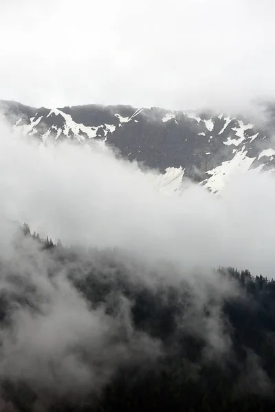 Nuvens nebulosas subindo da floresta montanhosa alpina escura — Fotografia de Stock