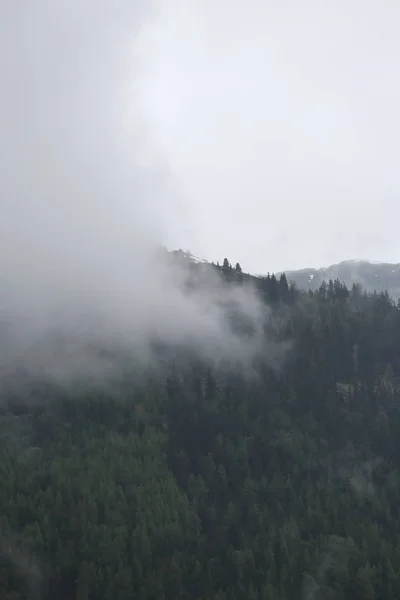 Nubes de niebla surgiendo del oscuro bosque montañoso alpino — Foto de Stock