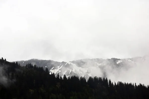 Mlžné mraky stoupající z temné alpského horského lesa — Stock fotografie