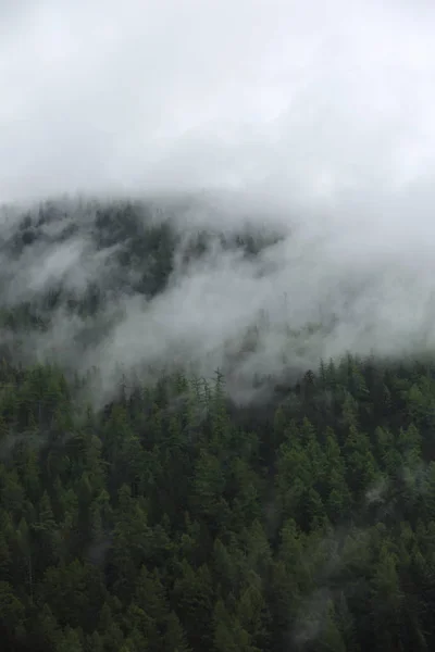 Nuages brumeux se levant de la forêt de montagne alpine sombre — Photo