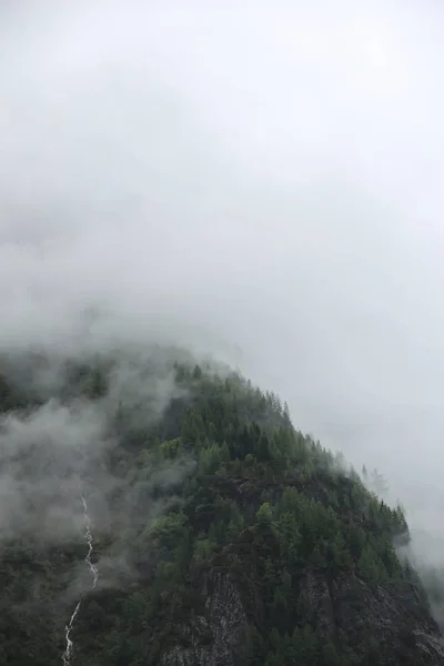 Nuvens nebulosas subindo da floresta montanhosa alpina escura — Fotografia de Stock