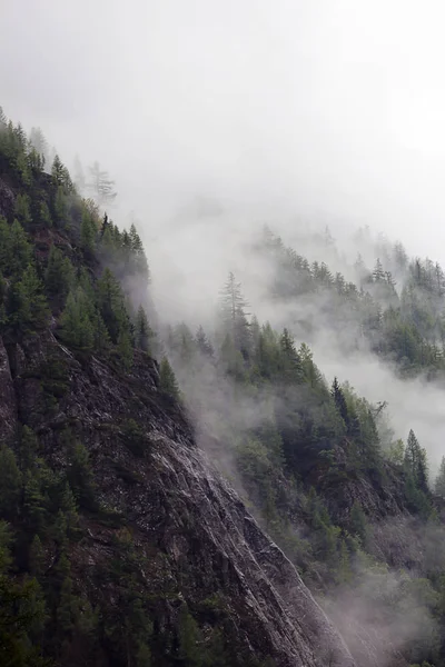 Ομιχλώδης σύννεφα αυξάνεται από το σκοτεινό βουνό αλπικό δάσος — Φωτογραφία Αρχείου