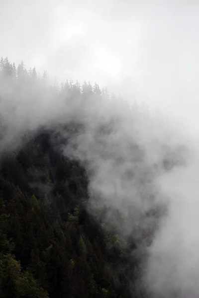 Mistige wolken stijgen van donkere alpine bergbos — Stockfoto