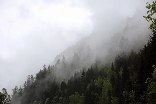 Mlžné mraky stoupající z temné alpského horského lesa — Stock fotografie