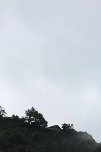 Nubes de niebla surgiendo del oscuro bosque montañoso alpino — Foto de Stock