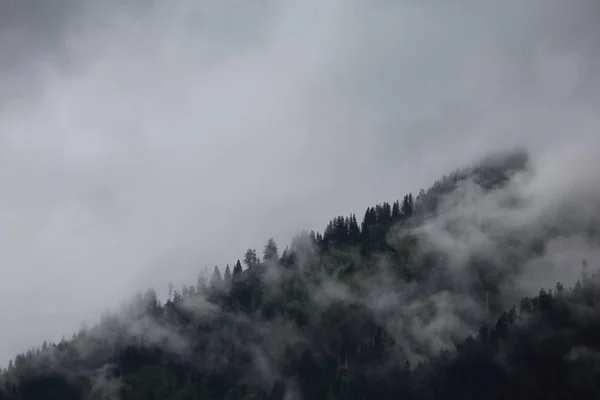 Nuvens nebulosas subindo da floresta montanhosa alpina escura — Fotografia de Stock