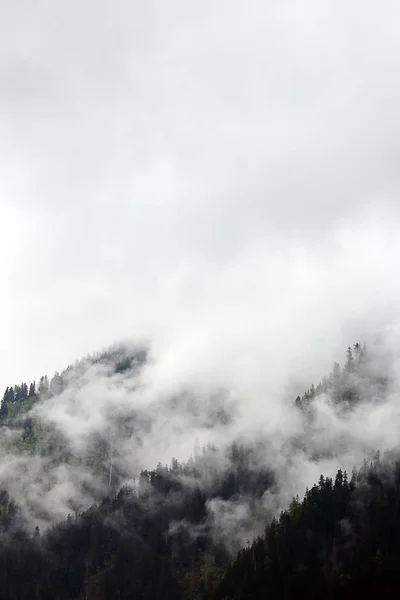 Mlžné mraky stoupající z temné alpského horského lesa — Stock fotografie
